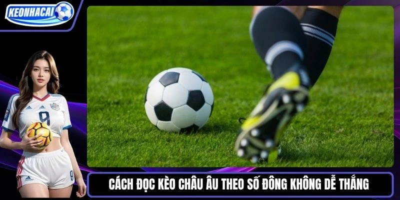 Cách đọc kèo châu Âu theo số đông không dễ thắng 