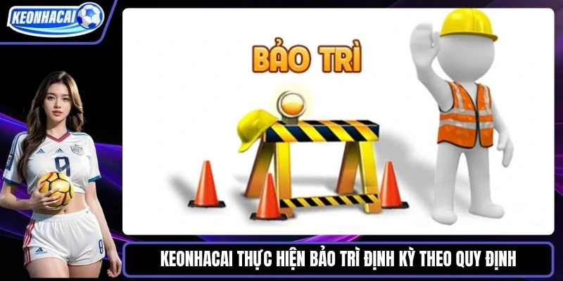 Keonhacai thực hiện bảo trì định kỳ theo quy định
