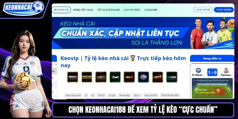 Chọn Keonhacai188 để xem tỷ lệ kèo “cực chuẩn”